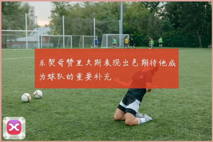 东契奇赞里夫斯表现出色期待他成为球队的重要补充